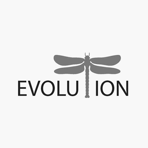 Evolution logo