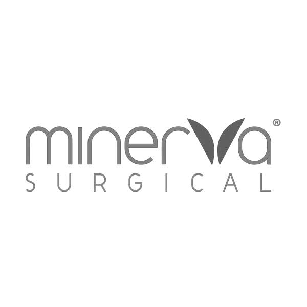 Minerva logo